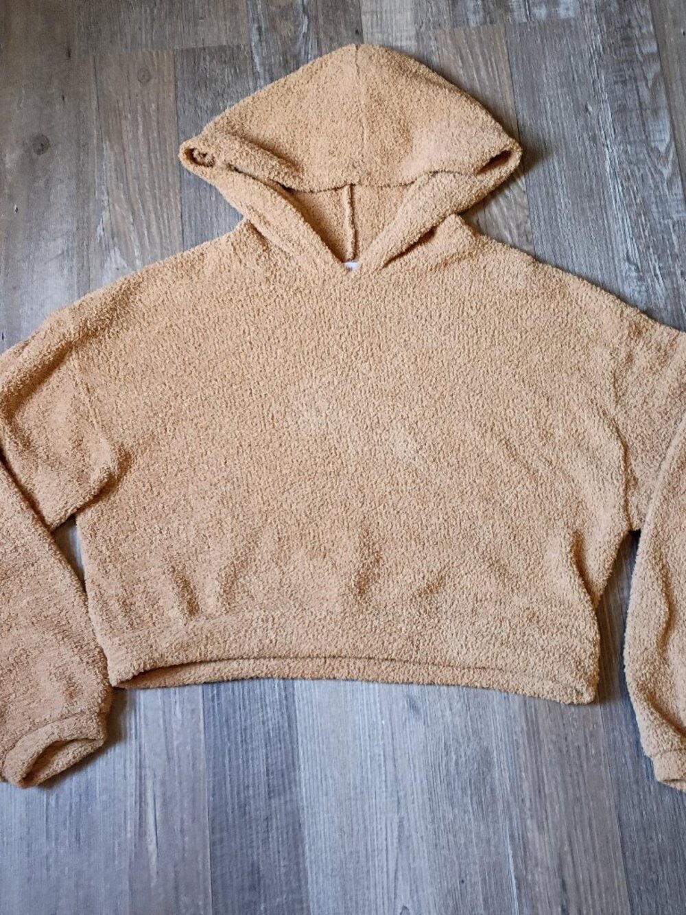 Cozy Plush Hoodie